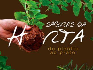 Livro gratuito ensina plantar e desidratar tempero