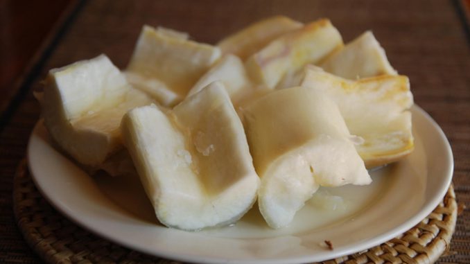 mandiocamar18g.jpg Parato com mandioca cozida e aos pedaços