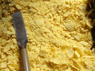o-milho-e-suas-muitas-farinhas-para-uso-culinario