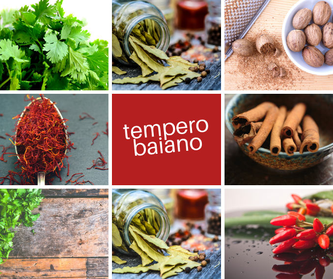 5 temperos de sucesso - Tempero Baiano